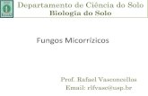 Fungos Micorrízicos...a) Fungos Micorrízicos Arbusculares b) Ectomicorrizas c) Orquidóides d) Ericóides 3. Estruturas da Interação – FMA, Ecto e Orquidóides 4. Fatores Ambientais