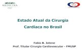 Estado Atual da Cirurgia Cardíaca no Brasil · atendimento centrado ao paciente. O processo de tomada de decisões e informações médicas do paciente deve ser guiado seguindo os