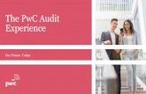 The PwC Audit Experience - CRCRS · 2020. 4. 1. · valorização de investimentos analisa as carteiras de investimento de clientes utilizando fontes de dados mais abrangentes e de