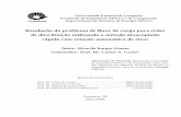 Resolução do problema de ﬂuxo de carga para redes de …repositorio.unicamp.br/jspui/bitstream/REPOSIP/261715/1/... · 2018. 8. 6. · Universidade Estadual de Campinas Faculdade