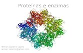 Proteínas e enzimas · 2012. 7. 30. · I. Enzimas são proteínas que atuam como catalisadores de reações químicas. II. Cada reação química que ocorre em um ser vivo, geralmente,