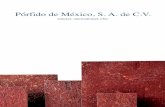 Pórfido de México, S. A. de C.V. PORFID… · Representa una selección especial de adoquines de lados regulares, cada elemento de dimensión de 10 x 10 cms., es producido en diferentes