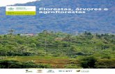 Florestas, árvores e agroflorestas...do CGIAR sobre Florestas, Árvores e Agroflorestas (CRP-FTA, conhecido interna e anteriormente como CRP6), os desafios do progresso e da implementação