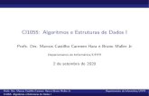 CI1055: Algoritmos e Estruturas de Dados I · 2020. 9. 9. · informa˘c~ao desejada; Profs. Drs. Marcos Castilho Carmem Hara e Bruno Muller JrDepartamento de Inform atica/UFPR CI1055: