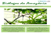Biólogos da Amazônia - CRBio-06 · 2020. 7. 7. · Biólogos da Amazônia Publicação do Conselho Regional de Biologia –6ª REGIÃO (AC, AP, AM, PA, RO, RR) Ano I / Nº 03