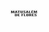 Matusalem de Flores Final - Blog da Boitempo · 2014. 8. 21. · Carlos Nejar 15 conheciam e com os quais se acostumaram. Como o mercado de abastecimento e suas caixas de produtos