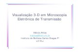 Visualização 3-D em Microscopia Eletrônica de Transmissãoemecbpf/Visualizacao_3D_Attias.pdf · 2008. 8. 11. · Visualização 3-D em Microscopia Eletrônica de Transmissão Márcia