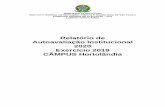 Relatório de Autoavaliação Institucional 2020 Exercício 2019 … · 2020. 3. 13. · MINISTÉRIO DA EDUCAÇÃO INSTITUTO FEDERAL DE EDUCAÇÃO, CIÊNCIA E TECNOLOGIA DE SÃO PAULO
