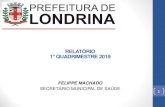 RELATÓRIO 1 QUADRIMESTRE 2019 - Paraná · 2019. 12. 16. · 1. Apresentação do Gabinete do Secretário e Ouvidoria 2. Produções da rede assistencial (própria, contratada e