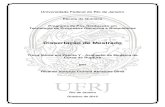 Dissertação de Mestrado - UFRJ/EQ/ ... Silva, Ricardo Vinícius Correia Abrantes Troca Iônica em Zeólita Y - Avaliação de Modelos de Curva de Ruptura/Ricardo Vinícius Correia