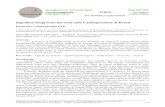 Ingoldian fungi from the semi-arid Caatinga biome of Brazil · 2016. 1. 14. · Ingoldian fungi are aquatic hyphomycetes that exhibit sigmoid or branched conidia ... studies on Ingoldian