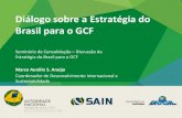 Diأ،logo sobre a Estratأ©gia do Brasil para o GCF Estratأ©gia do Brasil para o GCF â€“ Oficinas Recife