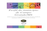 Perfil do município de Campo Grande/MS...estado do Mato Grosso do Sul, no ano 2000 era de 70,2 anos e em 2010 passou para 73,8 anos para ambos os sexos, um aumento de 3,6 anos nesse
