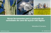 Novas ferramentas para a produção de variedades de cana-de ......Fase T3 Melhoramento da cana-de-açúcar em 3 passos Variabilidade Genética Máxima ... Bi-parental QTL mapping