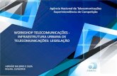 WORKSHOP TELECOMUNICAÇÕES - INFRAESTRUTURA URBANA DE TELECOMUNICAÇÕES: LEGISLAÇÃOaz545403.vo.msecnd.net/uploads/2018/06/file... · 2018. 6. 13. · ABRAÃO BALBINO E SILVA Brasília,