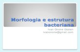 Morfologia e estrutura - Onone Protetores Bucaisacademico.ononeprotetores.com.br/wp-content/uploads/2020/... · 2020. 2. 10. · Morfologia e estrutura bacteriana Ivan Onone Gialain