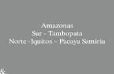Amazonas Sur - Tambopata Norte -Iquitos Pacaya Samiria · Norte -Iquitos Pacaya Samiria ... • El Parque Nacional del Manu ... Iquitos - Reserva Pacaya Samiria. Río Amazonas - MV