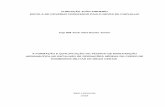 FUNDAÇÃO JOÃO PINHEIRO ESCOLA DE GOVERNO PROFESSOR ...monografias.fjp.mg.gov.br/bitstream/123456789/2497/1/A formação e... · Monografia de conclusão de Curso (Especialização