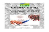 GOIÂNIA/GOIÁS 18 DE JANEIRO DE 2021...O Programa Nacional de Imunizações (PNI), criado em 1973, foi fundamental para o controle bem-sucedido das doenças imunopreveníveis no Brasil