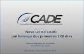 Nova Lei do CADE: um balanço dos primeiros 120 diasaz545403.vo.msecnd.net/uploads/2012/10/Palestra-Vinicius... · 2014. 1. 16. · Nova Lei do CADE: um balanço dos primeiros 120