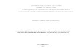 UNIVERSIDADE FEDERAL DA PARAÍBA CENTRO DE TECNOLOGIA COORDENAÇÃO DE ENGENHARIA DE ... · 2020. 5. 5. · Monografia (Curso de Graduação em Engenharia de Produção Mecânica)