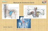 Manual de Anatomia Geral - MassagemPro de Anatomia...Sistema Digestivo Manual de Anatomia Geral Paulo Murteira MassagemPro Julho 2011 Índice 20 O fígado é um órgão que actua como