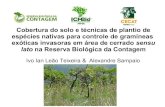 Cobertura do solo e técnicas de plantio de espécies nativas para controle de ... · 2013. 9. 18. · Técnicas de Plantio – SEMEADURA DIRETA. EXPERIMENTO DE PLANTIO ROÇADO ARADO