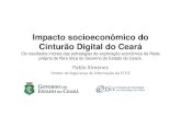 Impacto Socioeconômico do Cinturão Digital do Ceará Pablo ... · Pablo Ximenes Diretor de Segurança da Informação da ETICE. Motivação Prover massificação do acesso da banda