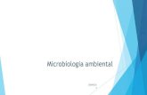 Microbiologia ambientalmicrogeral/arquivos/2014BIO009...Água potável 2,5 bilhões de pessoas não têm acesso ao saneamento básico –países em desenvolvimento. 1,5 milhões de