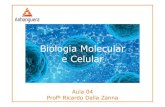 Biologia Molecular e Celular - WordPress.com · 2016. 9. 13. · Aula 04 ProfºProfº Ricardo Ricardo DallaDalla ZannaZanna. Procariontes Reino Monera oBactérias e Cianobactérias