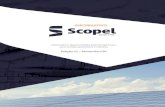 Informativo dezembro - versao digital - Scopel · 2020. 12. 10. · Informativo desenvolvido pela Scopel para seus amigos,parceiros e clientes EdiÇäo 52 - Novembro/20 (EM TERRENOS