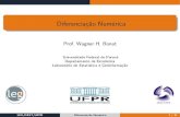 Prof.WagnerH - LEG-UFPRnumeric... · 2019. 4. 30. · DiferenciaçãoNumérica Prof.WagnerH.Bonat Universidade Federal do Paraná Departamento de Estatística Laboratório de Estatística