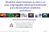 Modelos experimentais in vitro e in vivo empregados ...docente.ifsc.edu.br/rosane.aquino/MaterialDidatico/CulturaCelulas... · Renal (7) SN12S1 (Carcinoma) ... Dias após o implante