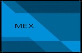 MEX - EBAPE · 2016. 12. 21. · Desde seu início, ministra cursos de administração em nível de pós-graduação e especialização, bem como mantém um amplo programa de pesquisas