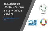 Indicadores de COVID-19 Manaus e interior Julho a Outubro...10 15 20 Parintins Carauari S Ant Iça Eirunepé Silves Óbitos no semestre: declínio recente agosto setembro outubro 0