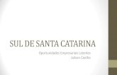 SUL DE SANTA CATARINA · 2014. 3. 20. · Fonte: PIB dos Municípios ... Mesorregião - Mesorregião Sul Catarinense / SC,2011 Setor de Atividade Econômica Tubarão Criciuma Araranguá
