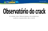 A Municípios brasileiros questão do crackprattein.com.br/.../Saude/VisaodosMunicipioscrack.pdf · 2016. 7. 30. · Sede: SCRS 505 bloco C – 3o andar – 70350-530 Brasília/DF