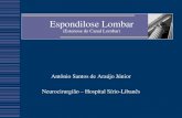 Espondilose Lombar (Estenose de Canal Lombar) · Lombalgia (95%), claudicação (91%), ciática (71%) e paresia (33%) Exarcebação com marcha e alívio com flexão Dor radicular