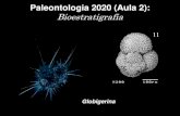 Paleontologia 2020 (Aula 2)...Bioestratigrafia Moderna: o Fóssil-Guia Fósseis mais adequados para correlação estratigráfica Características: 6 - Pequena amplitude vertical de