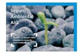 Seguro Ambiental AIG - ABGR · 2015. 11. 7. · 1 Seguro Ambiental AIG Pioneira no Brasil e líder mundial no ramo de riscos ambientais