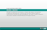 BRASIL: RELEVO - WordPress.com...BRASIL: RELEVO O que você deve saber sobre Situado na placa Sul-Americana, o Brasil não possui movimentos orogênicos significativos, embora seu