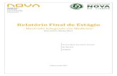 Relatأ³rio Final de Estأ،gio - Universidade NOVA de Lisboa MARIA... Relatأ³rio Final de Estأ،gio - Mestrado