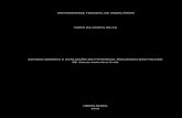 UNIVERSIDADE FEDERAL DE UBERLÂNDIA TIARA DA COSTA SILVArepositorio.ufu.br/bitstream/123456789/25540/5... · 2019. 6. 29. · S586 Silva, Tiara da Costa, 1993- 2019 Estudo químico