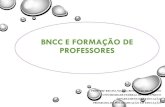 BNCC E FORMAÇÃO DE PROFESSORES - V CONAVE · 2021. 2. 5. · a bncc e sua implantaÇÃo •cenÁrio desfavorÁvel - polarizaÇÃo •programa probncc •aÇodamento na construÇÃo