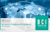 BCI SALES & TRANSPORTATION BRASIL · 2019. 6. 7. · A BCI Consulting é uma consultoria de TI e Negócios, com presença direta em 4 países através de 5 escritórios e 1 Centro