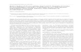 Folia Parasitologica: Folia Parasitologica - Redescription of …folia.paru.cas.cz/pdfs/fol/2002/01/12.pdf · 2021. 2. 4. · 56 Natural History Museum, Geneva, Switzerland (MHNG)