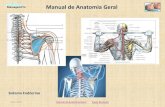 Manual de Anatomia Geral - MassagemPro · 2021. 1. 2. · Julho 2011 3 Bibliografia 1. Anatomia e Fisiologia , de Seeley Stephene & Tate . ISBN - 978-97-2893-0073 2. Anatomia Humana