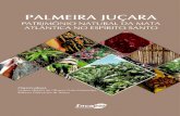 PALMEIRA JUÇARA · 2021. 2. 23. · palmeira juçara como um dos símbolos do bioma Mata Atlântica. Na primeira parte deste livro, informações da literatura e relatos de produtores