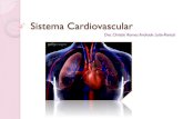 Sistema Cardiovascular - USP ... do sistema cardiovascular. Guyton & Hall, 2002. Dأ©bito cardأ­aco.