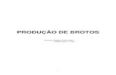 PRODUÇÃO DE BROTOS...teve grande impulso no Brasil a partir da década de 90. Um dos entraves para a expansão ... No caso dos brotos de alfafa, de trevo, de brócolis e de rabanete,